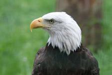 IMG_2762.jpg
