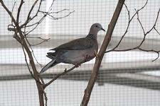IMG_2780.jpg