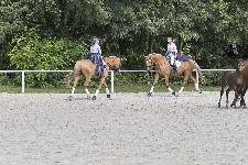 IMG_4058.jpg