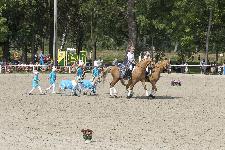 IMG_4163.jpg