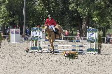 IMG_4182.jpg