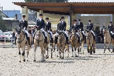IMG_4260.jpg