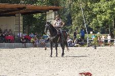 IMG_4586.jpg