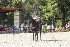 IMG_4590.jpg