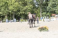 IMG_4627.jpg