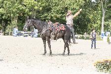 IMG_4646.jpg