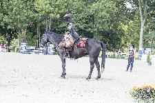 IMG_4658.jpg