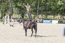 IMG_4745.jpg