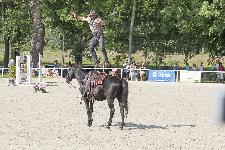 IMG_4746.jpg