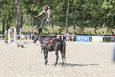 IMG_4747.jpg