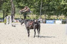 IMG_4749.jpg
