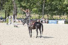 IMG_4751.jpg