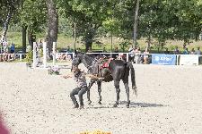 IMG_4754.jpg