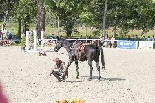IMG_4755.jpg