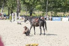 IMG_4756.jpg