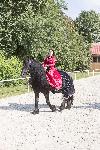 IMG_4783.jpg
