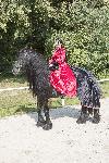IMG_4799.jpg