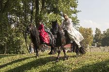 IMG_5009.jpg