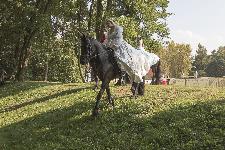 IMG_5010.jpg