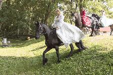 IMG_5015.jpg