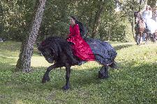 IMG_5026.jpg