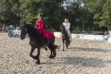 IMG_5451.jpg