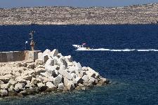 IMG_3741.jpg