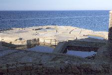 IMG_3777.jpg