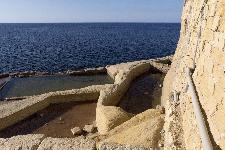 IMG_3779.jpg