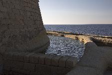 IMG_3786.jpg