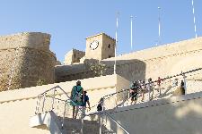 IMG_3833.jpg