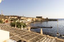 IMG_3941.jpg