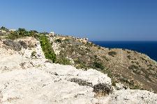 IMG_3953.jpg