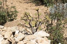 IMG_3957.jpg