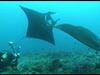 Expedition Raja Ampat